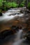 Tangelwood Creek Running with summer mountain snowmelt.