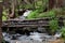 Tangelwood Creek Running with summer mountain snowmelt