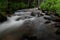 Tangelwood Creek Running with summer mountain snowmelt.