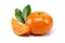 tangerine pictures
