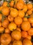 Tangerine, Citrus tangerina or Citrus x tangerina