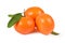 Tangerine, clementine with green leaves isolated clipping path