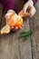 Tangerine and fir branches in children hands