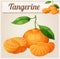 Tangerine fruit Mandarin. Cartoon vector icon