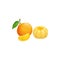 Tangerine fruit, tropical exotic citrus fruit food