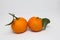 Tangerine and mandarin orange isolated on white background