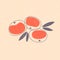 Tangerine simple illustration. Mandarin juicy fruits with leaves on shabby background.