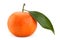 Tangerine tropical fruit on white