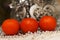 Tangerines against the background of a New Year`s decor