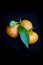 Tangerines against a black background