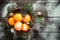 Tangerines, fir tree, pinecones and nuts. Christmas food decorations.