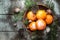 Tangerines, fir tree, pinecones and nuts. Christmas food decorations.