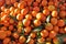 Tangerines fruit vitamine freshness agriculture