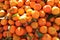 Tangerines fruit vitamine freshness agriculture