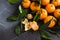 Tangerines with green leaves close up on dark background