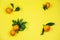 tangerines isolated on a yellow background
