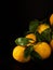 Tangerines with leaves in on a black stone surface. Close-up. Citrus