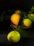 Tangerines with leaves in a rustic metal plate, on a black stone surface. Close-up. Citrus