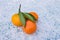 Tangerines and lemon lie on the snow on an icy surface