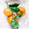 Tangerines, mandarines, clementines in winter holiday time, citrus fruits on plate with glowing snow and glitter on flatlay
