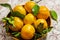 Tangerines oranges, tangerines, clementines, citrus with leaves in a ceramic plate