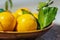 Tangerines oranges, tangerines, clementines, citrus with leaves in a ceramic plate