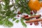 Tangerines snow hazelnut cinnamon winter spruce christmas