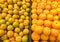 Tangerines are sold in fresh fruit markets. The sale of tangerines in department stores. There is a clear selection and separation