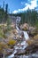 Tangle Creek Falls in Jasper National Park, Alberta, Canada, couple men and woman mid age hiking up to waterfall in