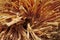 Tangled rafia palm fibers texture background