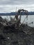 Tangled Tree Root in Columbia Bay Alaska