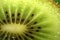 Tangy and tropical, close-up of succulent kiwi fruit slice