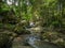 Tanim magic Buddha garden, Koh Samui island