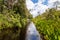 Tanjung Puting National Park, Borneo, Indonesia: peaceful navigation on the black water heading to Camp Leakey