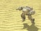Tank robot in desert,3d ,render