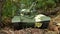 Tank T-72 powerful weapon front view