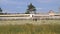 Tank truck driving on the road along the field with wheat. Transportation overland delivery of goods and oil. Modern era