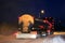 Tank Truck Lights on Winter Night