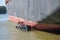 Tanker boat or bunker barge at the hull of a large container freighter takes over oily residues and sanitary wastewater in the