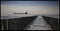 Tanker passing the shores of Zeeland, The Netherlands