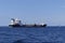 Tanker ship at anchorage