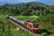 Tanker-train on the railway.