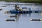 Tanks used for raising tilapia on a fish farm