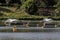 Tanks used for raising tilapia on a fish farm