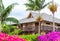 TANNA ISLAND, VANUATU - JULY 20, 2019: Violet Bougainvillea against the backdrop of the building of the Evergreen Resort