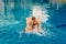 Tanned child floats on his stomach on an air mattress in the outdoor pool in the summer