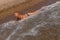 Tanned short-haired nine-year-old boy swims by the sea and plays with the waves in the summer