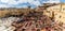 Tanners working in the dye pots at Chouara Tannery painting animal leathers, Fez, Morocco