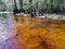 Tannin stained water of Fisheating Creek, Florida.