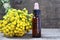 Tansy essential oil in a glass bottle and fresh blooming Tanacetum vulgare plant on old wooden background.